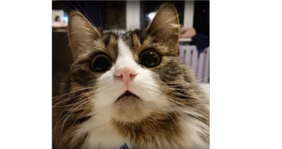 murlock.jpg (234.15 КБ) 12536 просмотров Можно